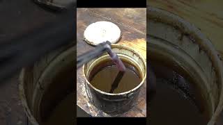 Rusty Knife Restoration #restoration #shorts