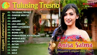 ANISA SALMA - TULUSING TRESNO | KOMPILASI VIDEO LANGGAM CAMPURSARI GAYENG TERBARU 2024
