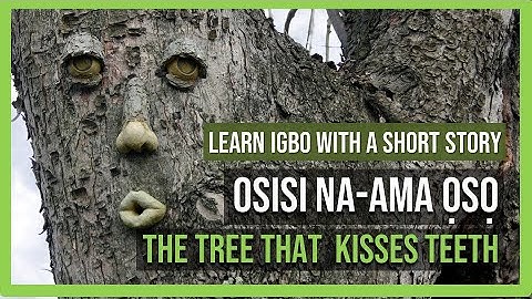Learn Igbo language with a Mini story- The tree that kisses teeth - Osisi na-ama ọsọ