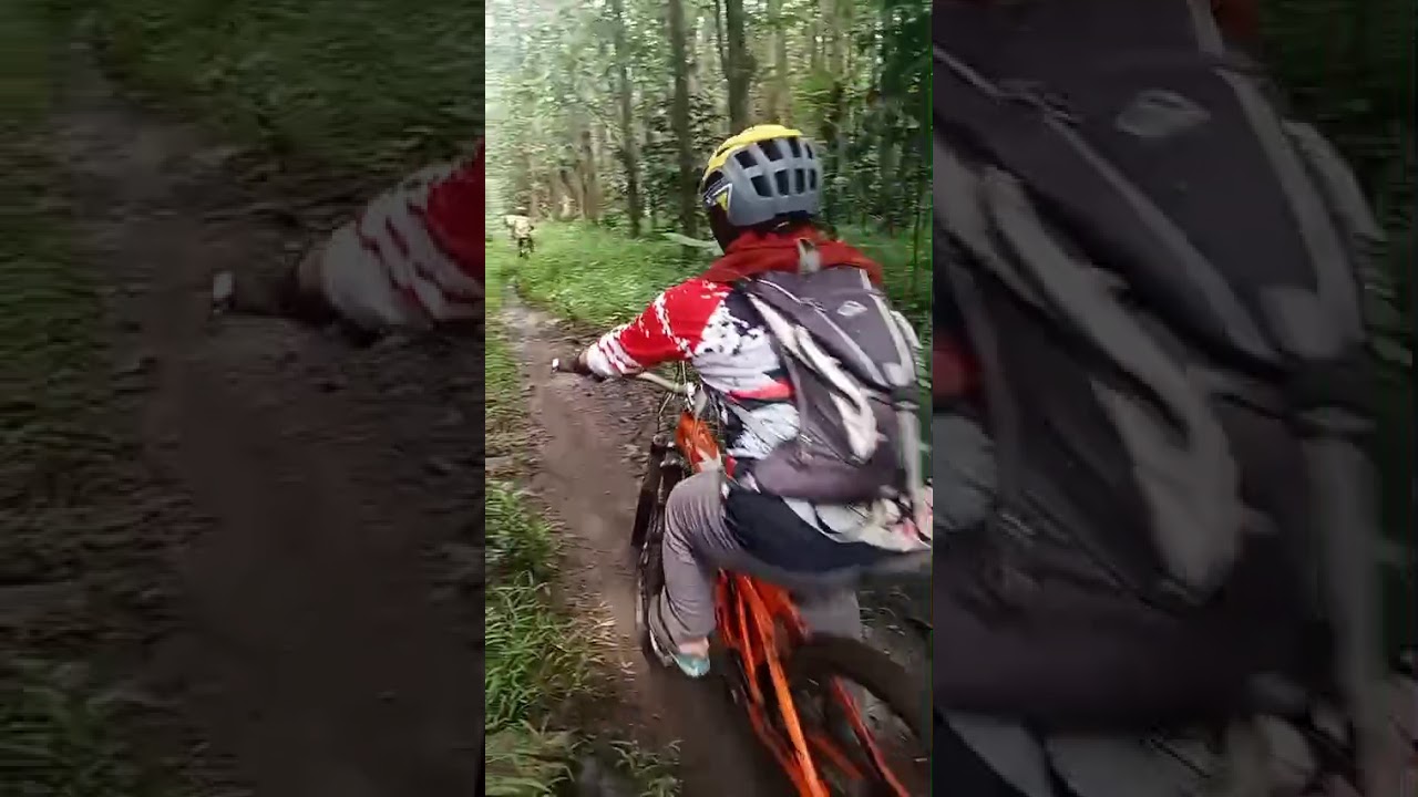 jelajah jantung sehat sarikemuning Park 7