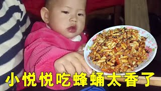 小曾發愁晚飯，沒想到找到放置一年的蜂蛹，爆炒一盤小悅悅一口一個太香了！ 【侗家老羅】