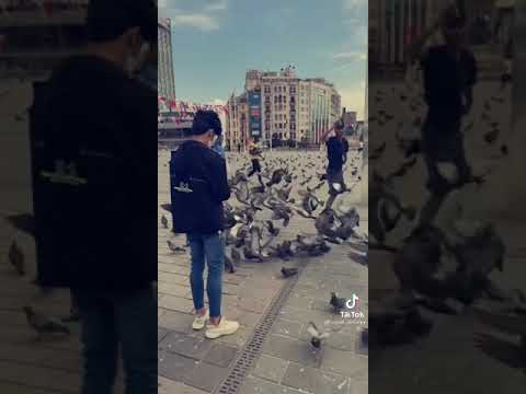 شمسوي بيه وكلبي رادك وحدك