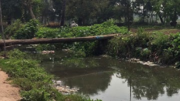 BMFS field protocol - Arrival at the field site