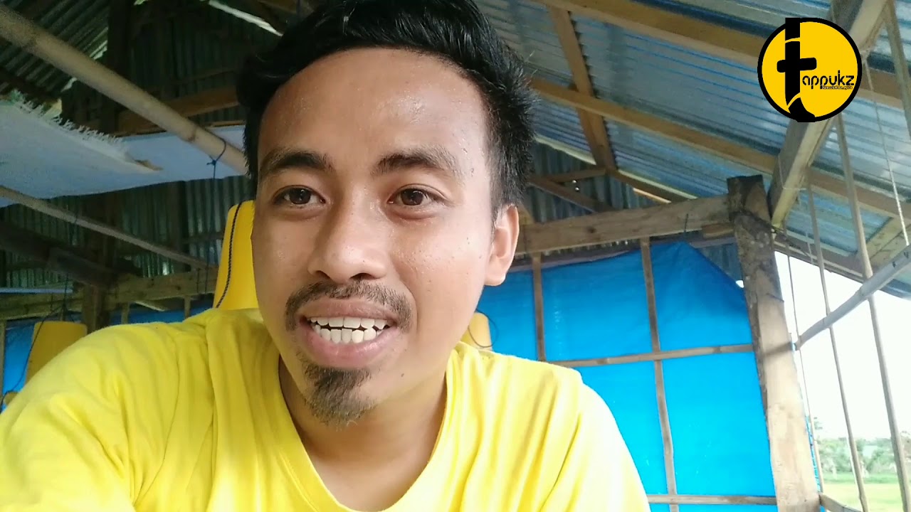 PERSIAPAN MASA BRODING AYAM BROILER/AYAM POTONG 