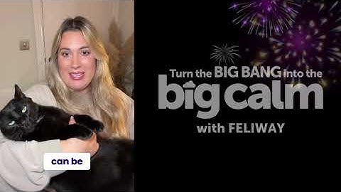 Discover This Cats Secret to Solving His Fireworks Fear