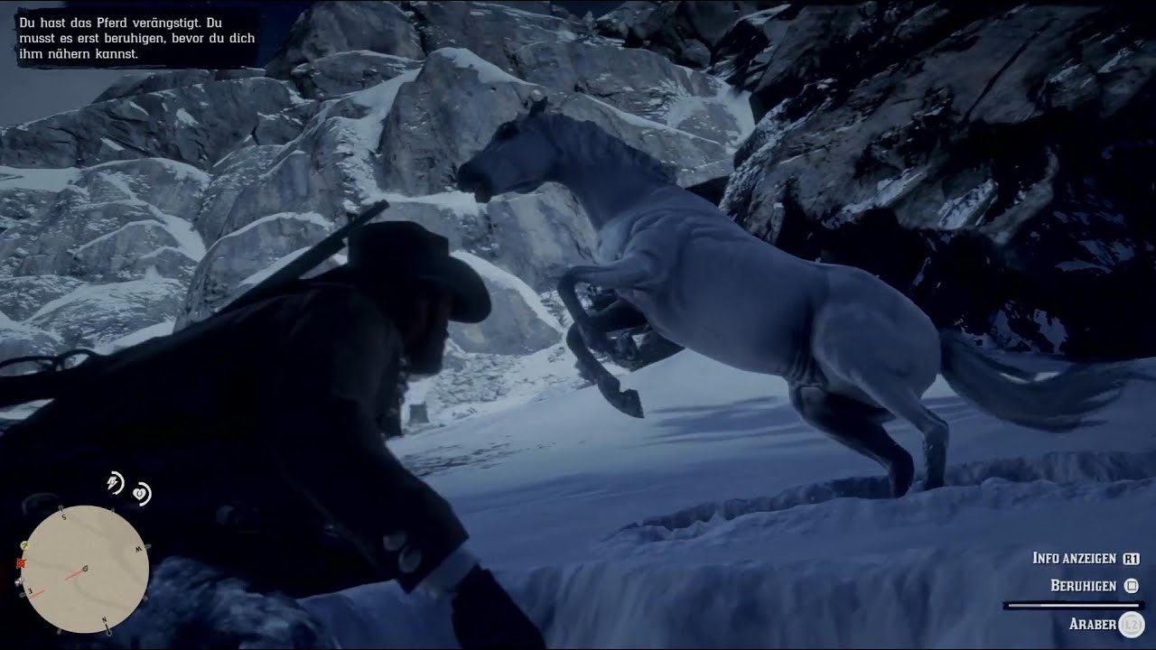Red Dead Redemption 2 Weißer Araber Kaufen Red Dead Redemption 2 - Der weiße Araber (Bestes Wildpferd) - YouTube