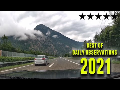 Best Of Daily Dashcam Observations [world]