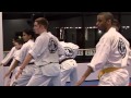 Adult class  hk taekwondo
