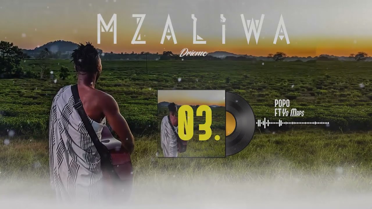 DRIEMO ft Yo Maps   POPO REMIX official audio visualizer  Mzaliwa