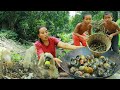 survival in the rainforest-found snails with guava for cook &amp; eat with twos boy