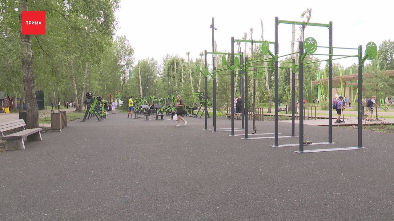 Спортивная аллея. Аллея памяти на острове Татышев. Тренажеры на Татышева. Остров Татышев Красноярск. Аллея спорта Миасс.