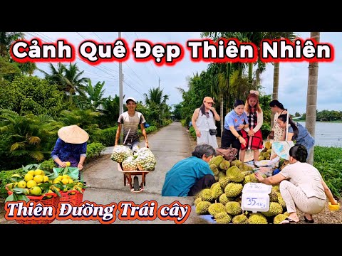 Lạc Bước Vùng Quê Hẻo Lánh Cảnh Đẹp Như Tranh Trái Cây Miệt Vườn Bày Bán Tràn Ngập Ven Đường Cần Thơ