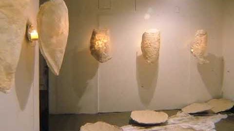 Meditations on the Tortoise