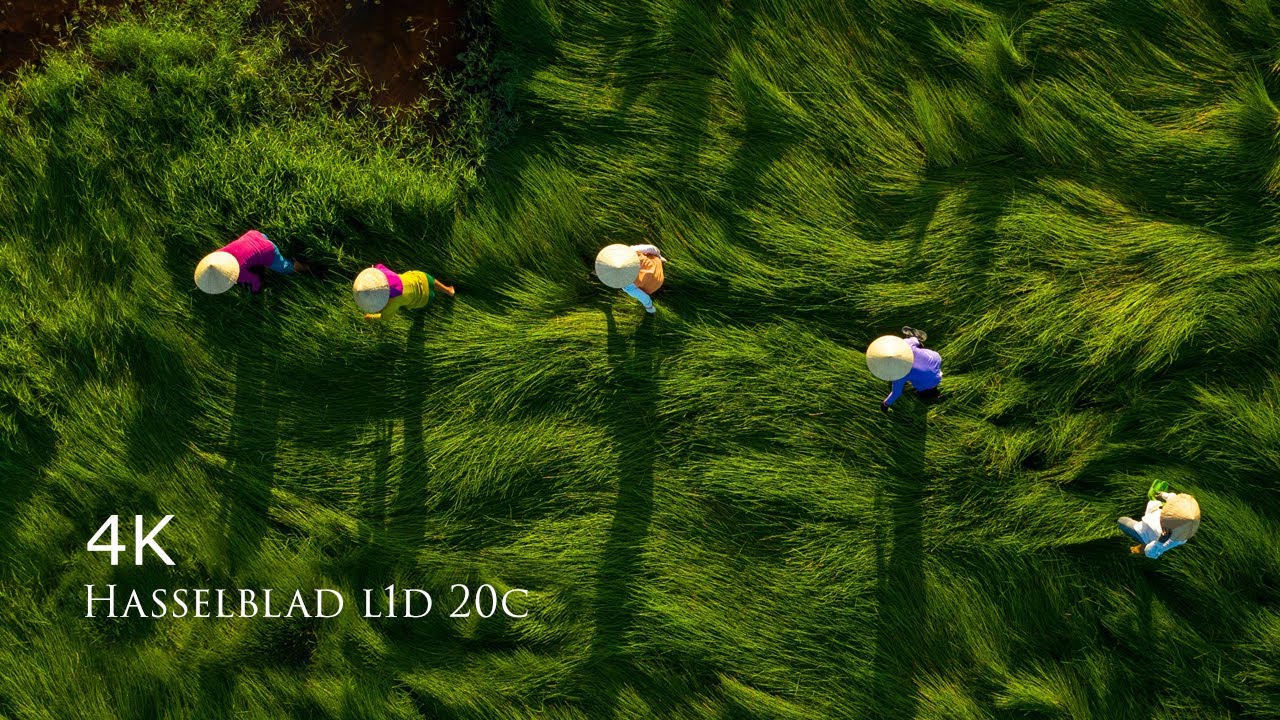 DJI Mavic 2 Pro 4K | Amazing Photography By Hasselblad l1d 20c | Sample Photos