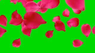 Green Screen Beautiful Garden Flower / Falling Rose Petals Animation /Bird Green Screen /Flower tree