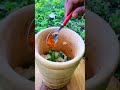 🌿 Guava Mocktail Street Magic 🥂 | South Asian Refreshing Drink You Must Try! 😋🔥 #streetfood