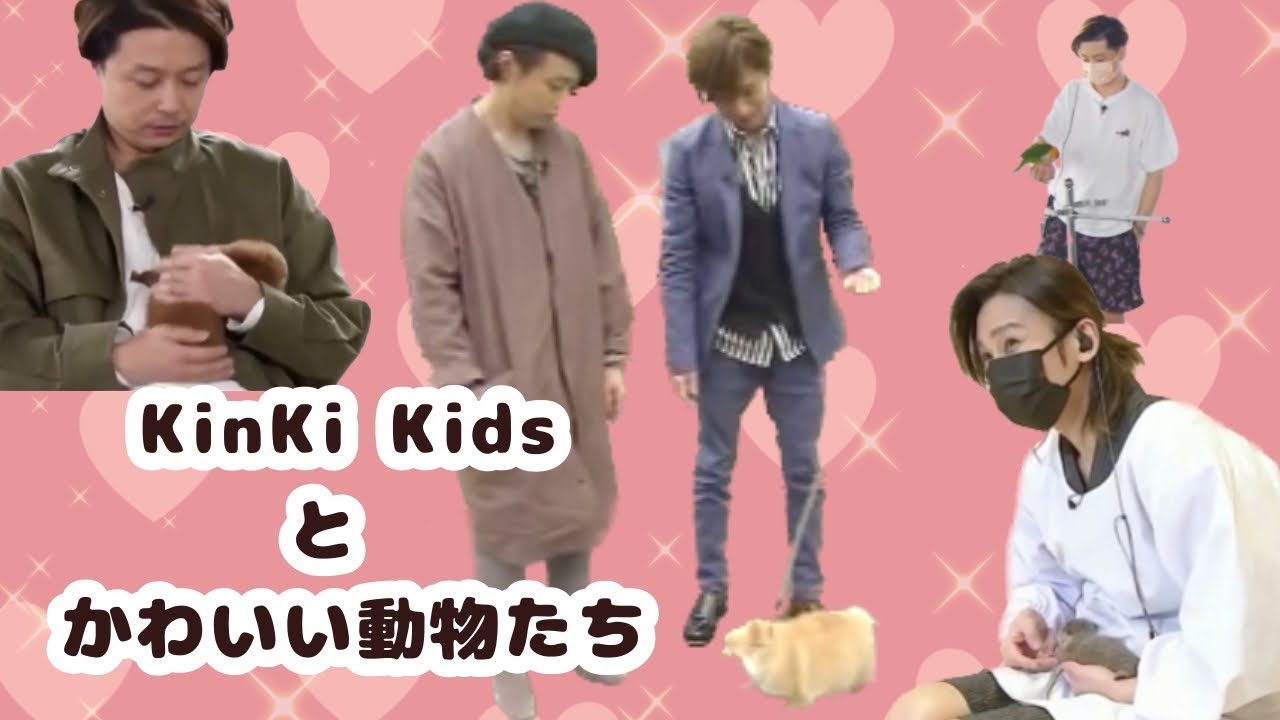 KinKi Kidsとかわいい動物たち [ キンキキッズ ]