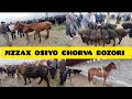 ЖИЗЗАХ ОСИО ЧОРВА МОЛ БОЗОРИ НАРХЛАРИ JIZZAX OSIYO MOL QO'Y BOZORI NARXLARI #buqalar #rek #novvos