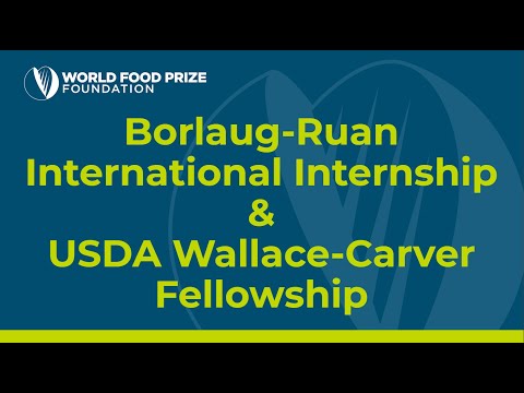 Information Session Borlaug Ruan International Internship Wallace Carver Fellowship