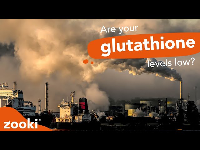 milk thistle and glutathione together How To Spot Glutathione Deficiency & Depletion | The Master Antioxidant  Explained | Zooki