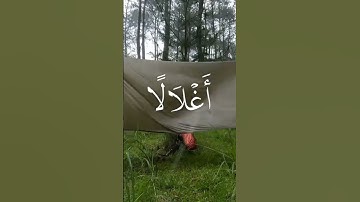 القارئ محمد صديق المنشاوي #اكسبلور #راحة_نفسية #قرآن #القرآن_الكريم #ايات_قرانيه_قصيره #viralvideo