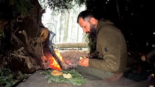 4 Days Winter Bushcraft Camping, Survival Shelter in the Snow, Outdoor Cooking, Nature Movie by Wargeh Bushcraft 273,032 views 2 months ago 34 minutes