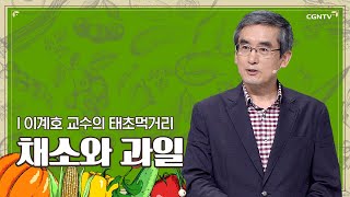 채소와 과일 | 이계호 교수 | 이계호 교수의 태초먹거리 | 4편