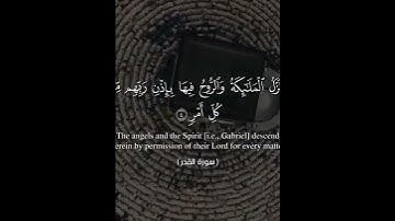 #قران_كريم. #الشيخ السديس. #قرآن. #سورة القدر 🌺🤍