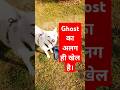 Ghost Has A Different Game Dogs Music Doglover Rap Ghost Game Proplayer mp3