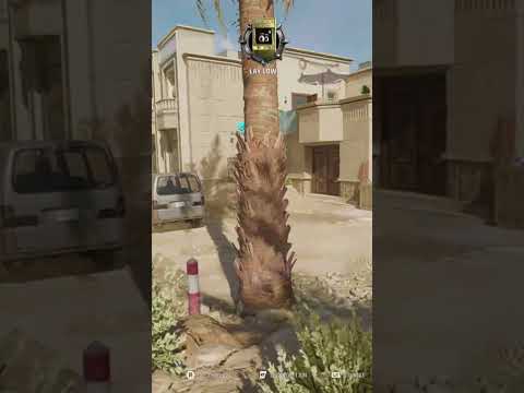 Hiding In The Open Blackops6 Prophunt Funny Gaming