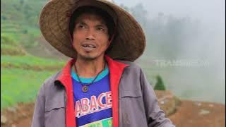 Download lagu NYARIS TERLUPA DI JANTUNG JAWA | INDONESIAKU (08/11/21)