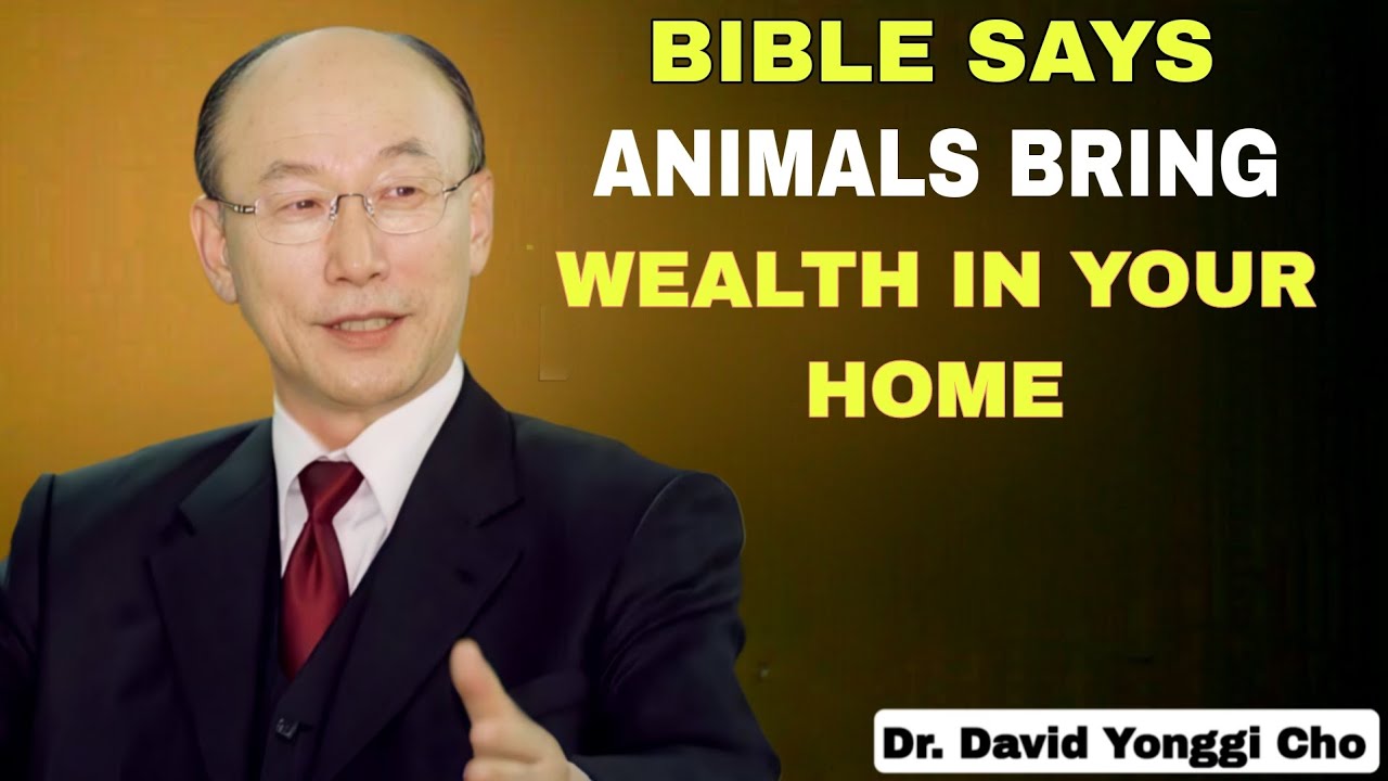 8 Animals That Bring Surprise Wealth to Any Home They Visit - Don't Chase Them Away - Yonngi Cho