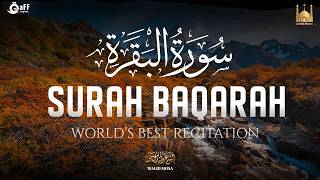 Surah Al-Baqarah Lengkap | Petunjuk dan berkah untuk rumah | Zikir malam | Tilawah lengkap
