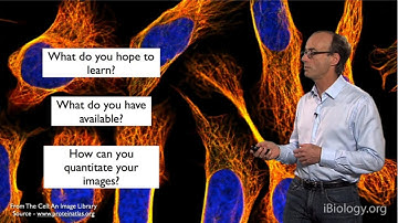 Microscopy: Choosing the Right Microscopy Technique (Ron Vale)