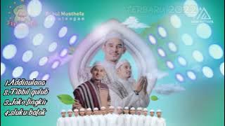 Enak banget kolaborasi Habib Alwi |Babul Musthofa 2022/2023 #babulmusthofa #habibalwi