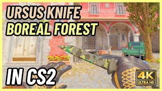 ★ CS2 Ursus Knife Boreal Forest | CS2 Knife In-Game Showcase [4K]
