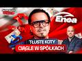 TŁUSTE KOTY CIĄGLE W SPÓŁKACH