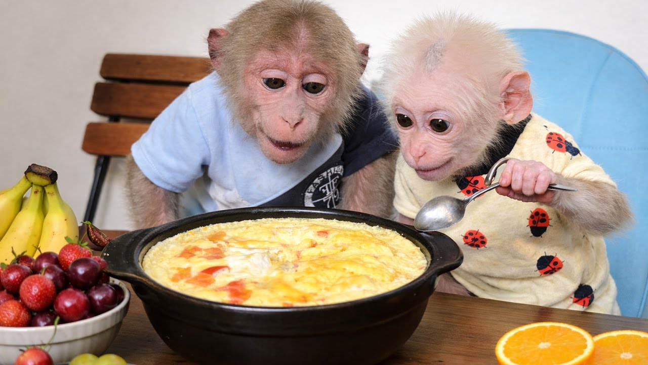 So Sweet! Bibi & LaLa Receive Special Care from Mom and Enjoy Delicious Steamed Eggs