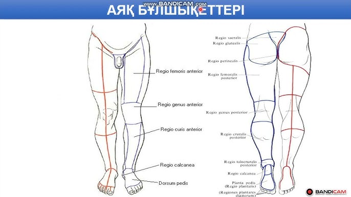 Тәтем маған қолын тигізді. 50 жастан асқан әйелдерді порно мастурбациялау