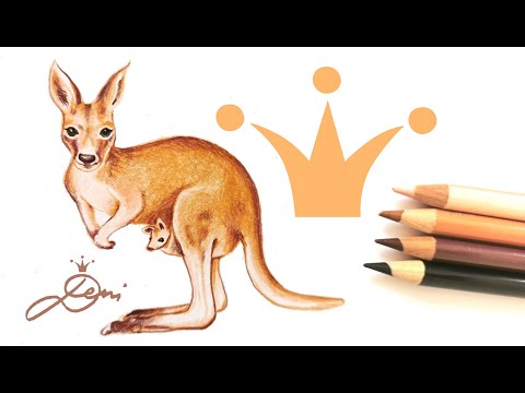 Video: Werden Känguruhpfoten im Schatten wachsen?