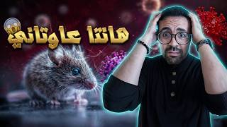 هانتا فيروس: قصة السفينة المرعبة .. واش بدات جائحة جديدة؟
