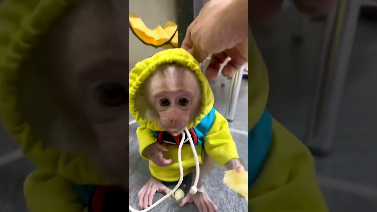 Spider-Man I Love You 