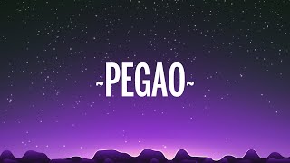 Camilo - Pegao (Letra/Lyrics)