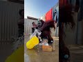 Orangutan attack #viral #foryou #shorts #wildlife #fypシ゚ #animals #foryourpage #viralshorts #fun #fy