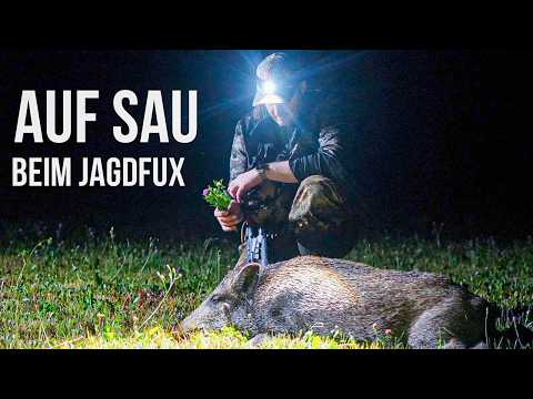 Hunting Wild Boar with Jagdfux
