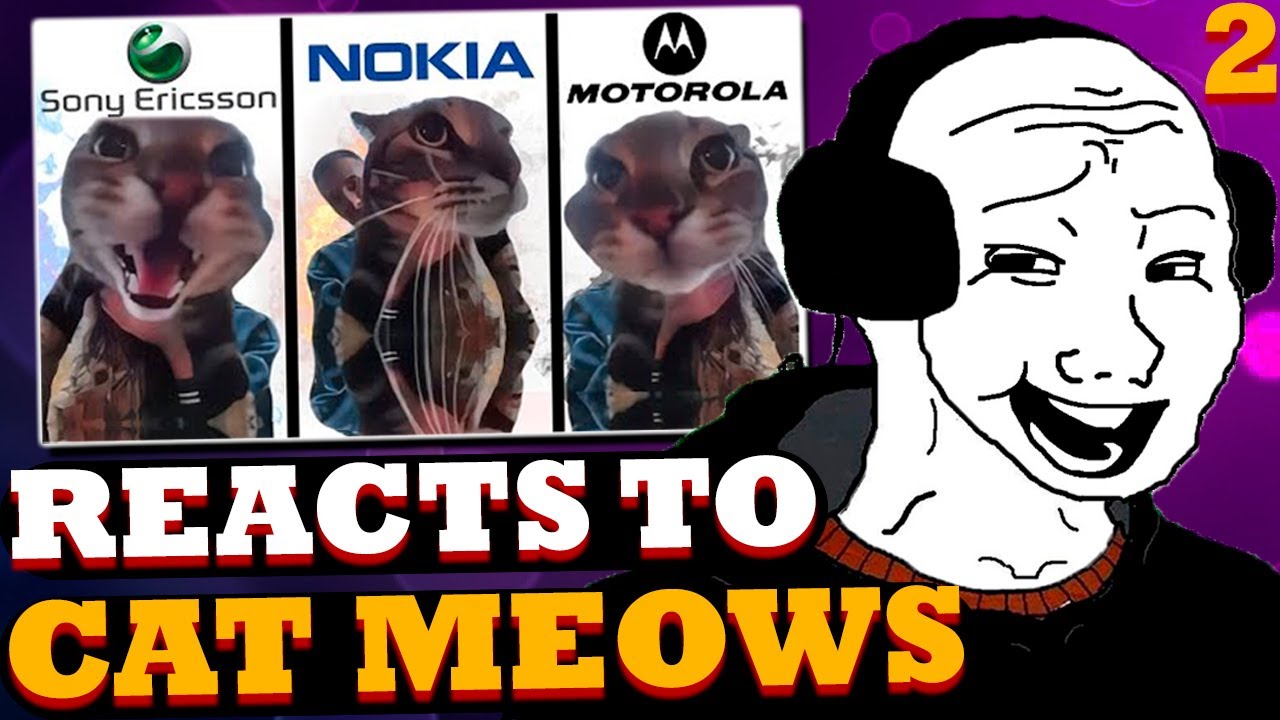 Wojak Reacts to Cat Meows Into Door Camera Meme But Famous Phone Ringtones (2)!