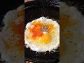 #Omelette#OmeletteRecipe#EggOmelette#EasyCooking#Breakfast#HomeCooking#FoodShorts#YouTubeShorts