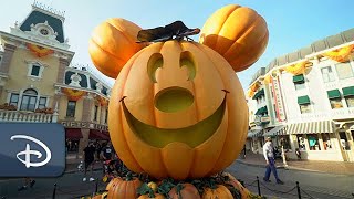 Must See Fall Favorites | Halloween Time Disneyland Resort