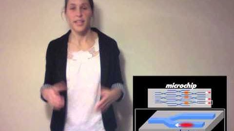 SiEPIC-2013-3MT-EllenSchelew.m4v