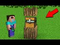 WHO HID THIS CHEST IN TREE? Minecraft - NOOB vs PRO